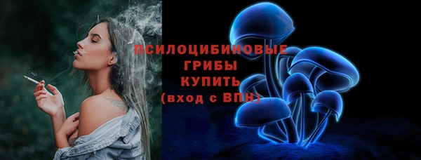 бошки Алзамай